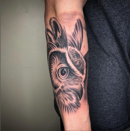 Dayton Smith - Dayton Smith Owl